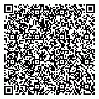 vCard 79102400222