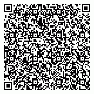 vCard 79102400233