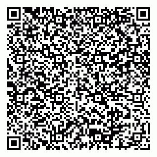 vCard 79102400270