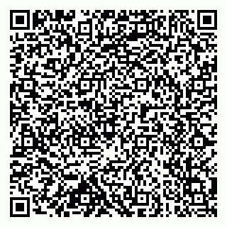 vCard 79102400271