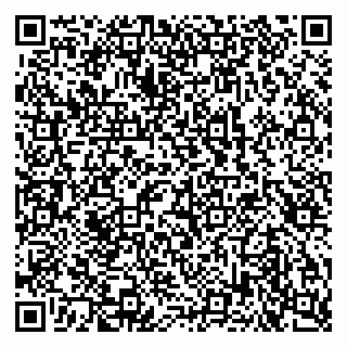 vCard 79102400295