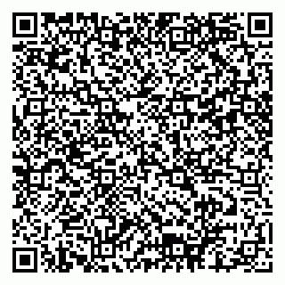 vCard 79102400299