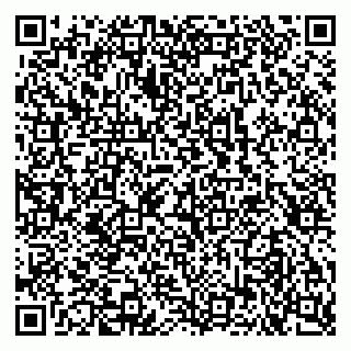 vCard 79102400311