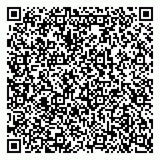 vCard 79102400313