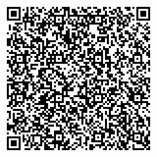 vCard 79102400317
