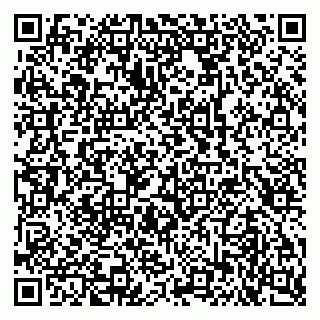 vCard 79102400319