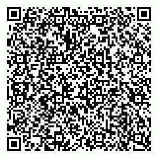 vCard 79102400331
