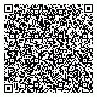 vCard 79102400333