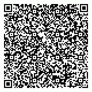 vCard 79102400334