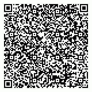 vCard 79102400335