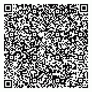 vCard 79102400381
