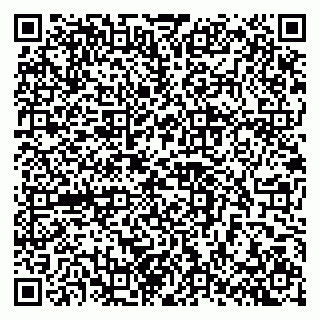 vCard 79102400382