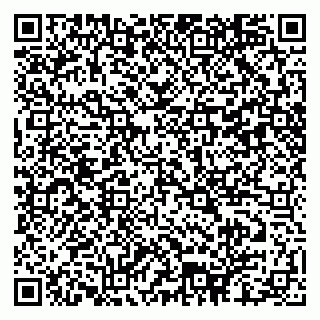 vCard 79102400384