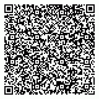 vCard 79102400399