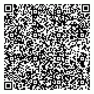 vCard 79102500387