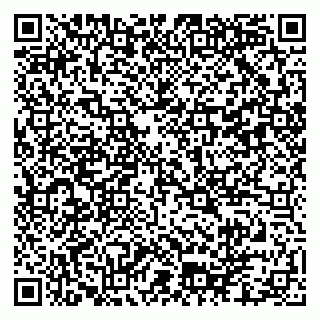 vCard 79102800001