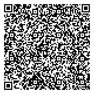 vCard 79102800003