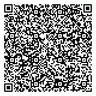 vCard 79102800004