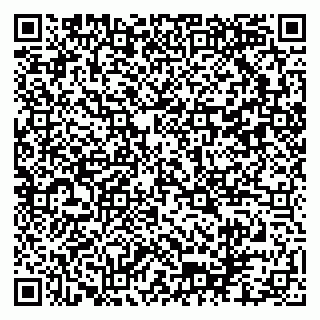 vCard 79102800031