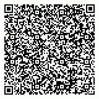 vCard 79102800033