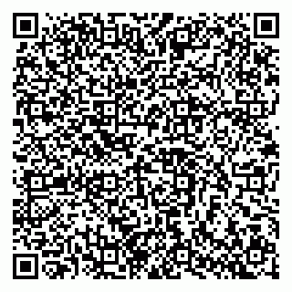 vCard 79102800041
