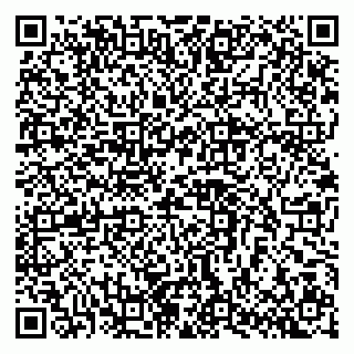 vCard 79102800080