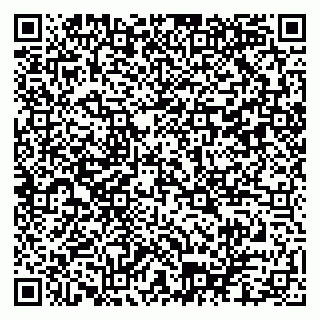vCard 79102800095