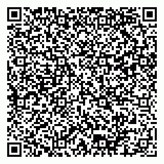 vCard 79102800099