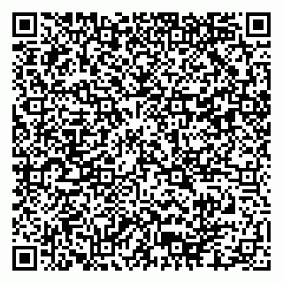 vCard 79102800100