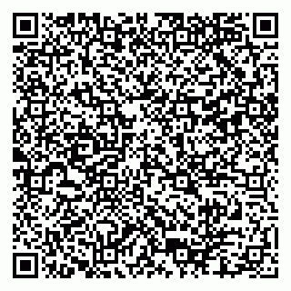 vCard 79102800105