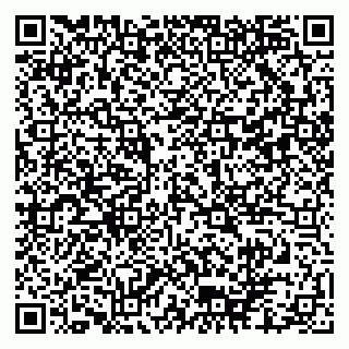 vCard 79102800111