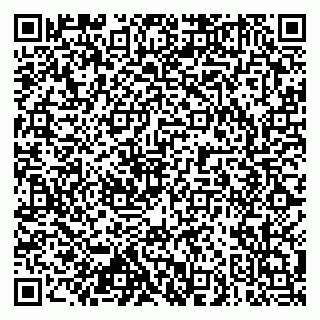 vCard 79102800133