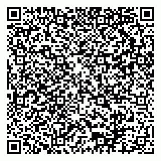 vCard 79102800137