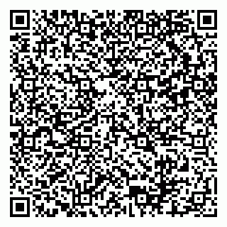 vCard 79102800138