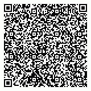 vCard 79102800140