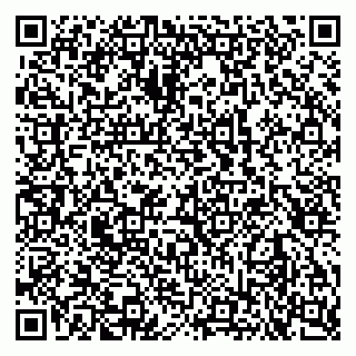 vCard 79102800161