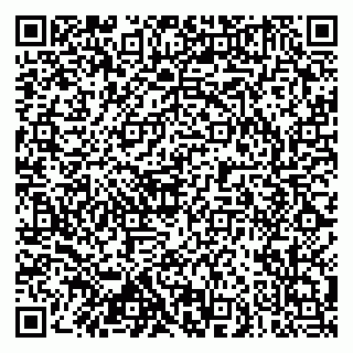 vCard 79102800173