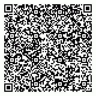 vCard 79102800203