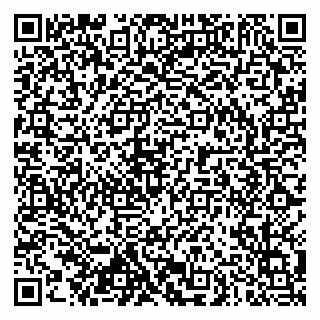vCard 79102800209