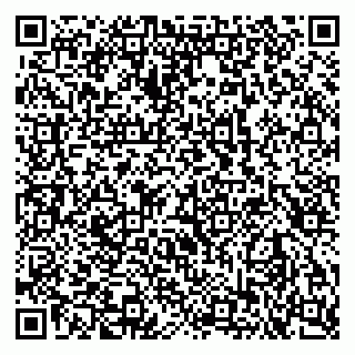 vCard 79102800210