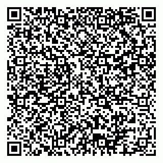 vCard 79102800211