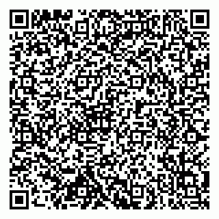 vCard 79102800213