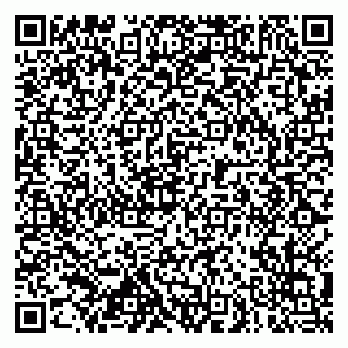vCard 79102800217