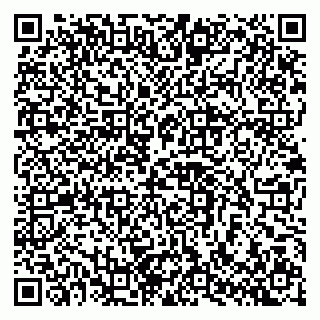 vCard 79102800221