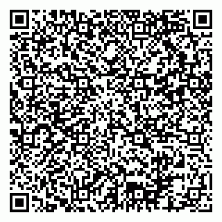 vCard 79102800233