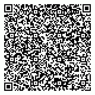 vCard 79102800240