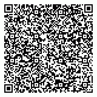 vCard 79102800241