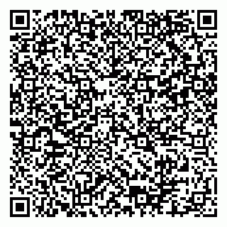 vCard 79102800271