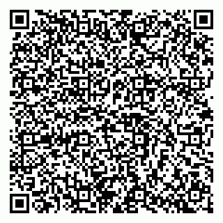 vCard 79102800290
