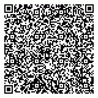 vCard 79102800294
